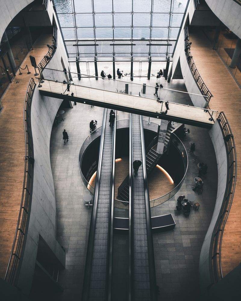 高橋 直樹